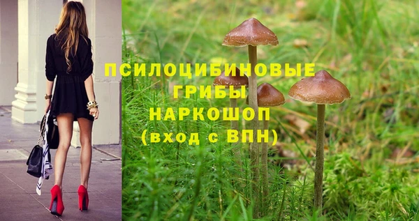 PSILOCYBIN Покровск