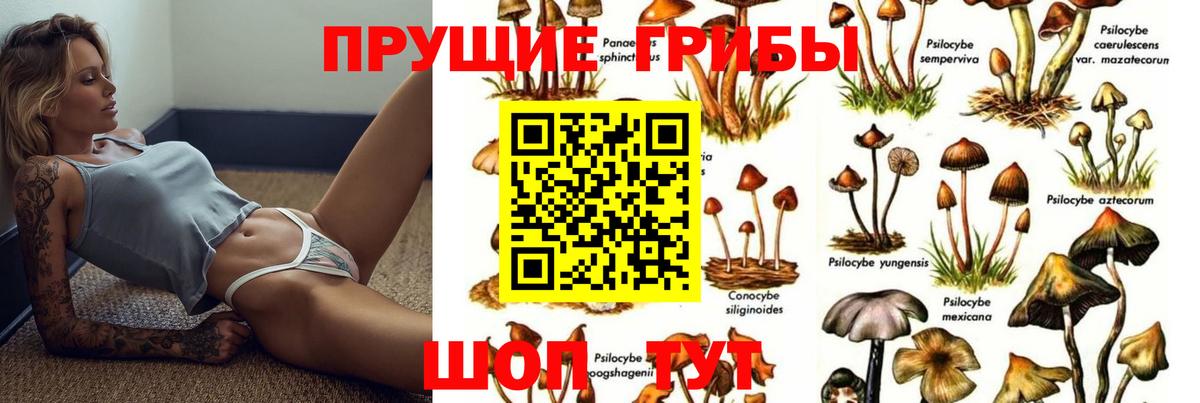 Псилоцибиновые грибы прущие грибы  Вход с VPN  Ливны 